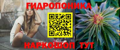 шишки Апшеронск
