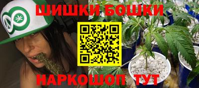 шишки Апшеронск