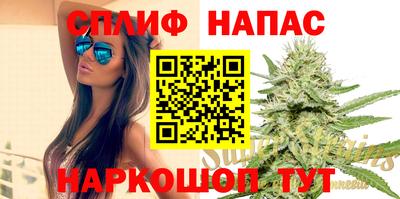 шишки Апшеронск