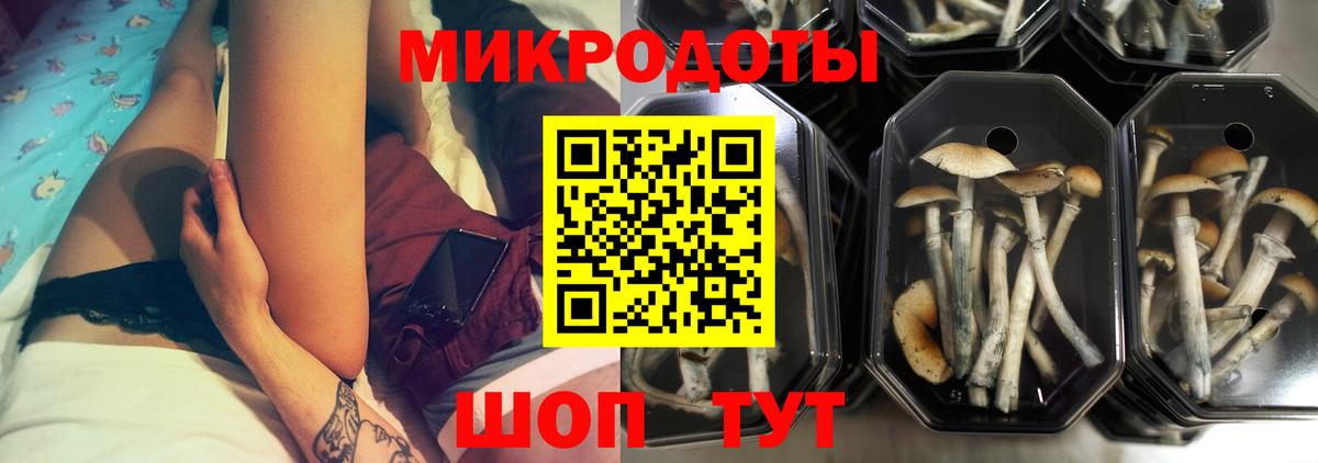 Галлюциногенные грибы Cubensis  Вход с VPN  Асино 
